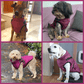 🔥Weihnachtsverkauf 49%Rabatt 🐩Wasserdichte Winterhundjacke mit eingebautem Geschirr